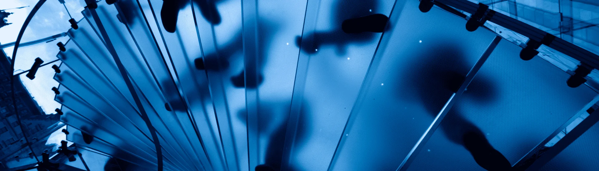 The Power of First-Party Insights