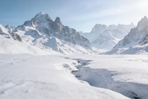 The Buyer’s Guide 2025